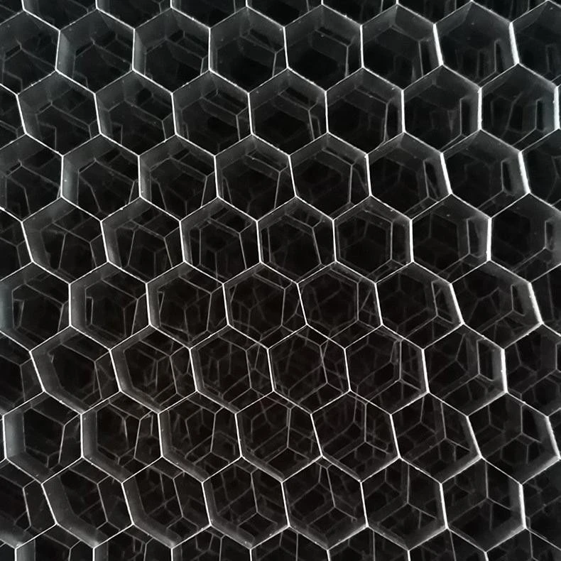 22 (5)